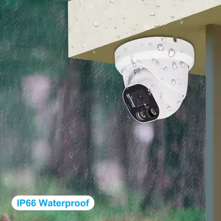 Interfaz del software IP Camera Viewer